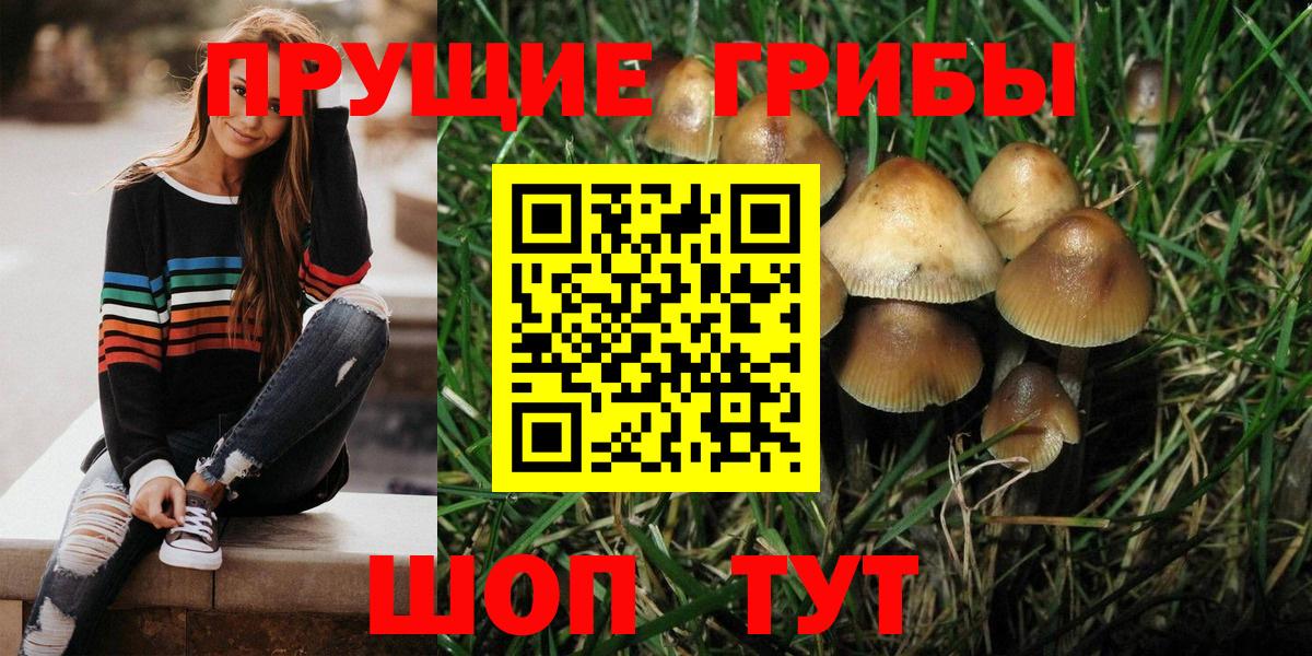 Псилоцибиновые грибы Magic Shrooms  Вход с VPN  Зерноград 